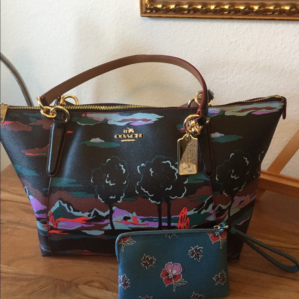 Gorgeous Coach Ava Landscape tote